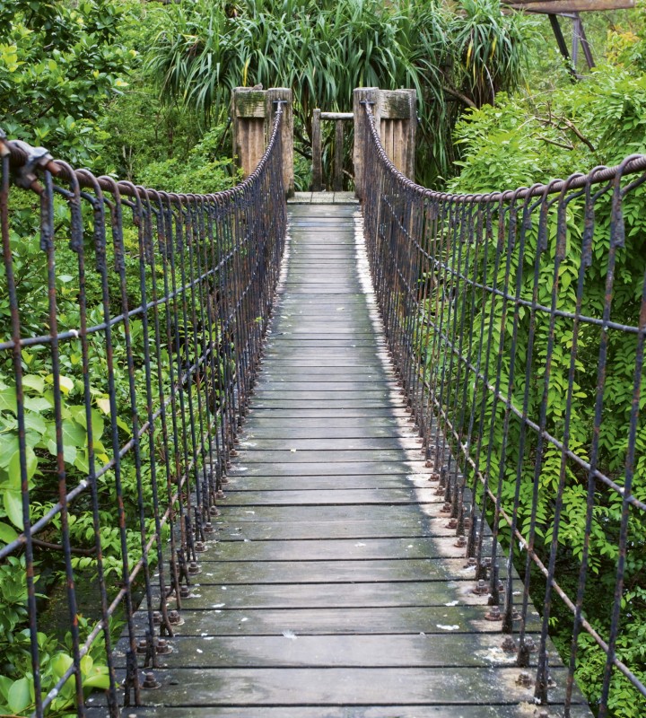 Fototapeta na flizelinie MS-3-0084 FOOTBRIDGE