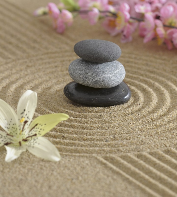 Fototapeta na flizelinie MS-3-0117 ZEN GARDEN