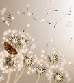 Fototapeta na flizelinie MS-3-0148 DANDELIONS AND BUTTERFLY