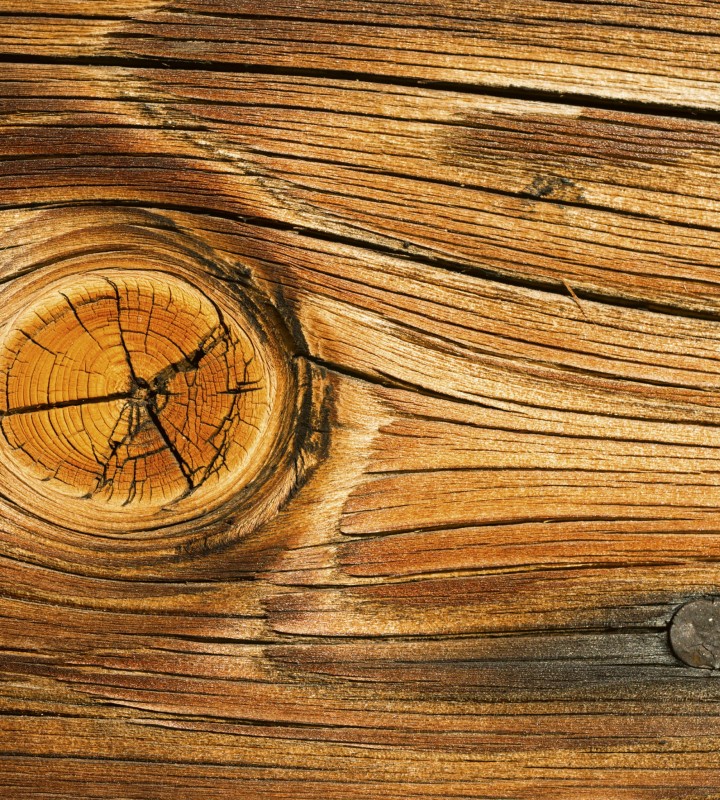 Fototapeta na flizelinie MS-3-0157 WOOD KNOT