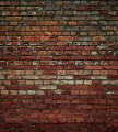 Fototapeta na flizelinie MS-3-0166 BRICK WALL
