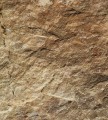 Fototapeta na flizelinie MS-3-0177 MARBLE