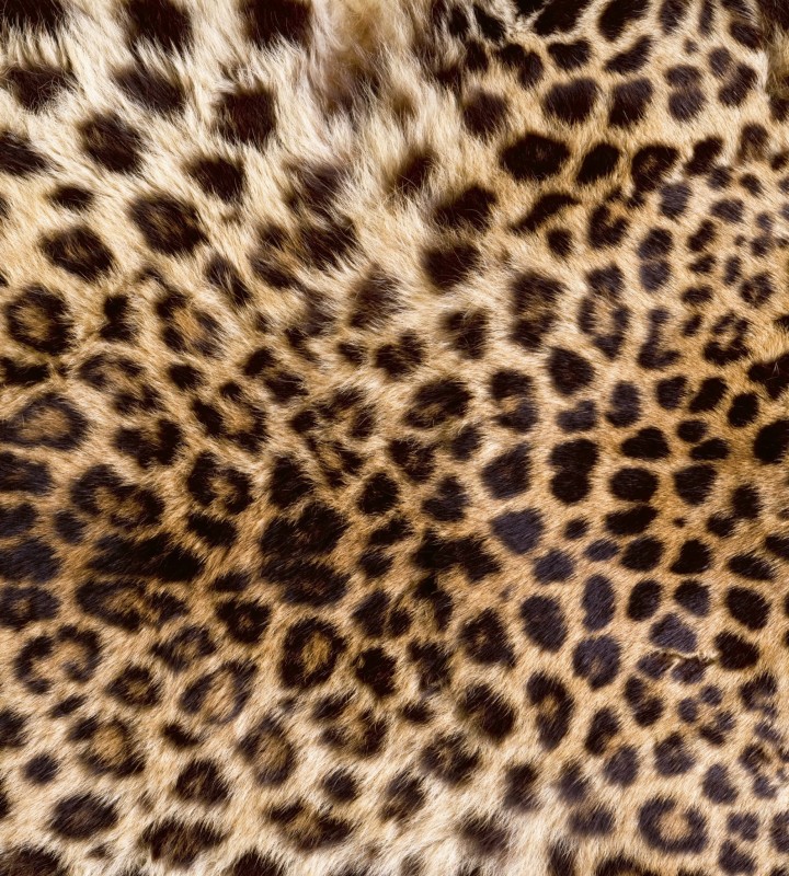 Fototapeta na flizelinie MS-3-0184 LEOPARD SKIN