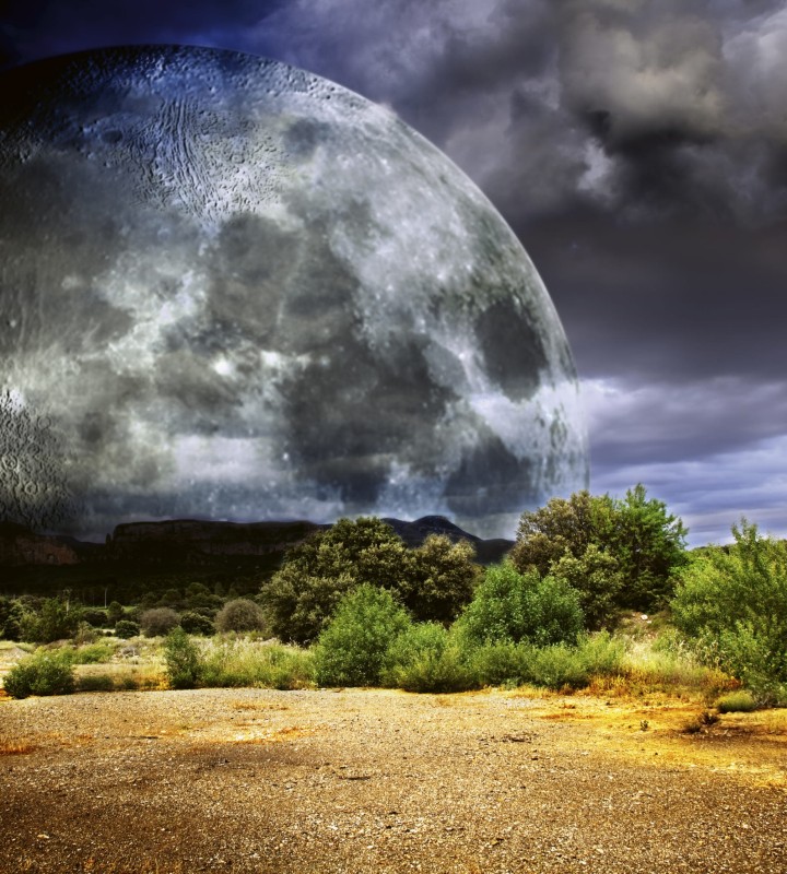 Fototapeta na flizelinie MS-3-0185 MOON