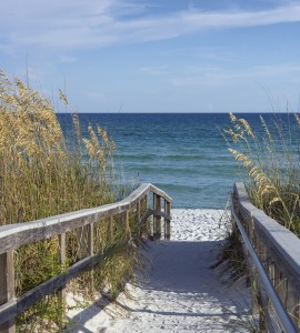 Fototapeta na flizelinie MS-3-0212 SANDY BOARDWALK