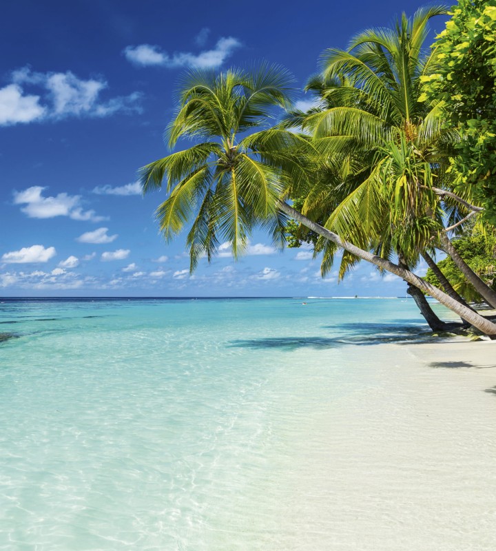 Fototapeta na flizelinie MS-3-0215 PARADISE BEACH