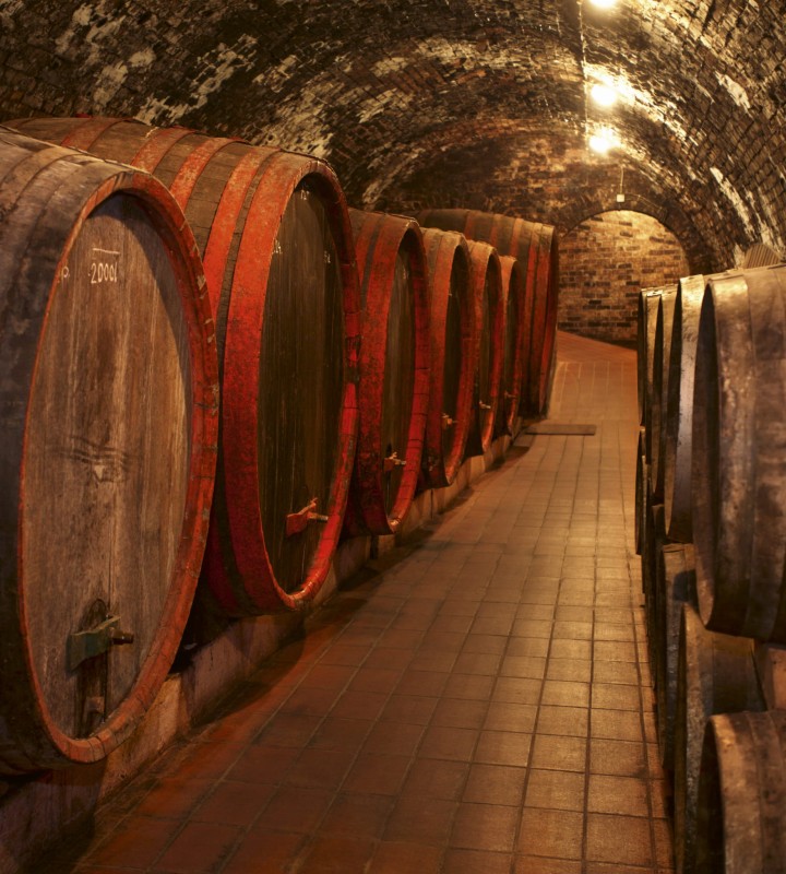 Fototapeta na flizelinie MS-3-0247 WINE BARRELS