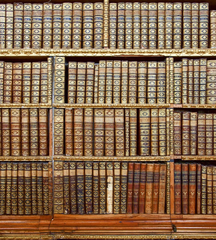 Fototapeta na flizelinie MS-3-0263 LIBRARY
