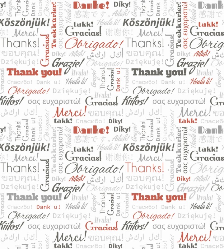Fototapeta na flizelinie MS-3-0266 THANK YOU