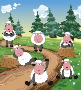 Fototapeta na flizelinie MS-3-0342 SHEEP