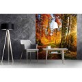 Fototapeta na flizelinie MS-3-0065 FOREST WALK