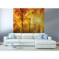 Fototapeta na flizelinie MS-3-0067 SUNNY FOREST