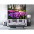 Fototapeta na flizelinie MS-3-0068 HYACINTH FLOWERS