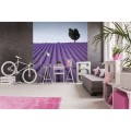 Fototapeta na flizelinie MS-3-0088 LAVENDER FIELD