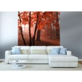 Fototapeta na flizelinie MS-3-0095 MISTY FOREST