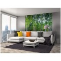 Fototapeta na flizelinie MS-3-0100 BIRCH GROW