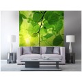Fototapeta na flizelinie MS-3-0107 GREEN LEAVES