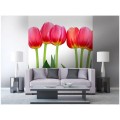 Fototapeta na flizelinie MS-3-0126 BED OF TULIPS