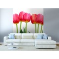 Fototapeta na flizelinie MS-3-0126 BED OF TULIPS