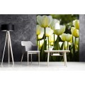 Fototapeta na flizelinie MS-3-0127 WHITE TULIPS