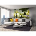 Fototapeta na flizelinie MS-3-0127 WHITE TULIPS