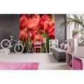 Fototapeta na flizelinie MS-3-0128 RED TULIPS