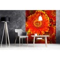 Fototapeta na flizelinie MS-3-0131 GERBERA