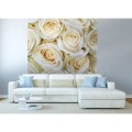 Fototapeta na flizelinie MS-3-0137 WHITE ROSES