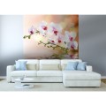 Fototapeta na flizelinie MS-3-0147 WHITE ORCHID