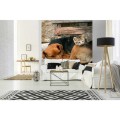 Fototapeta na flizelinie MS-3-0221 CAT AND DOG