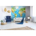 Fototapeta na flizelinie MS-3-0261 WORLD MAP