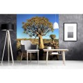 Fototapeta na flizelinie MS-3-0103 NAMIBIA