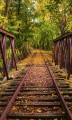 Fototapeta na flizelinie MS-2-0055 RAILROAD