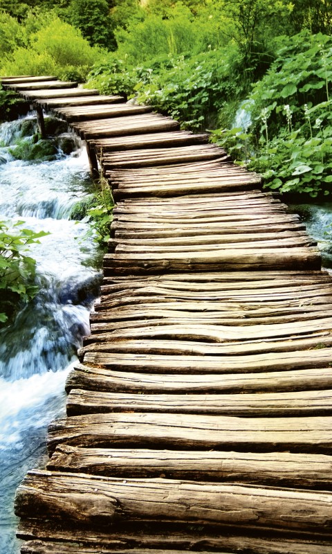 Fototapeta na flizelinie MS-2-0080 BOARDWALK