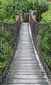 Fototapeta na flizelinie MS-2-0084 FOOTBRIDGE