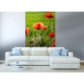 Fototapeta na flizelinie MS-2-0092 POPPY FIELD