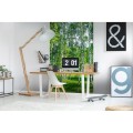Fototapeta na flizelinie MS-2-0100 BIRCH GROW