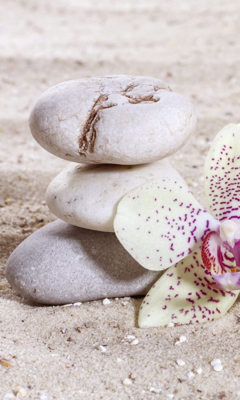 Fototapeta na flizelinie MS-2-0118 ZEN BALANCE