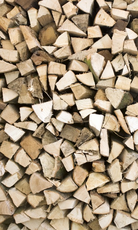 Fototapeta na flizelinie MS-2-0161 TIMBER LOGS