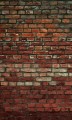 Fototapeta na flizelinie MS-2-0166 BRICK WALL