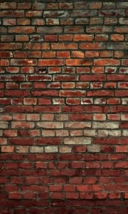 Fototapeta na flizelinie MS-2-0166 BRICK WALL