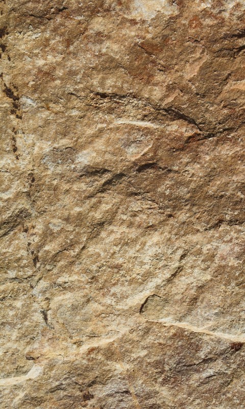 Fototapeta na flizelinie MS-2-0177 MARBLE