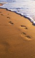 Fototapeta na flizelinie MS-2-0193 FOOTSTEPS