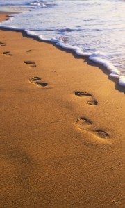 Fototapeta na flizelinie MS-2-0193 FOOTSTEPS