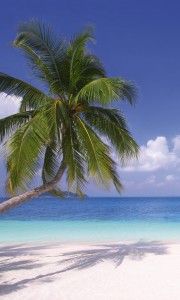 Fototapeta na flizelinie MS-2-0194 BEACH