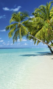 Fototapeta na flizelinie MS-2-0215 PARADISE BEACH