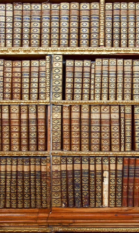 Fototapeta na flizelinie MS-2-0263 LIBRARY
