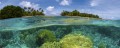 Fototapeta na flizelinie MP-2-0200 CORAL REEF