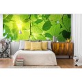 Fototapeta na flizelinie MP-2-0107 GREEN LEAVES