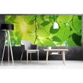 Fototapeta na flizelinie MP-2-0107 GREEN LEAVES